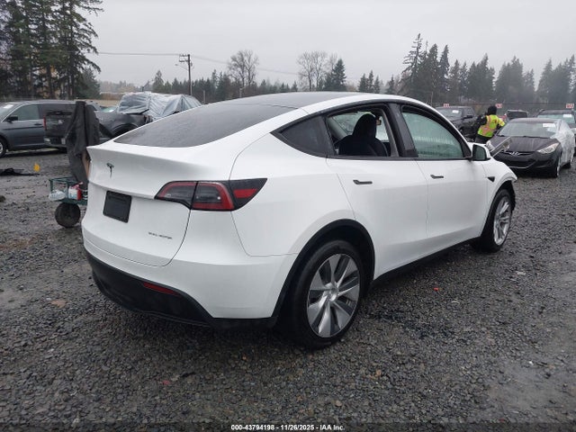 2023 TESLA MODEL Y 7SAYGDEE7PF684988 Photo 3