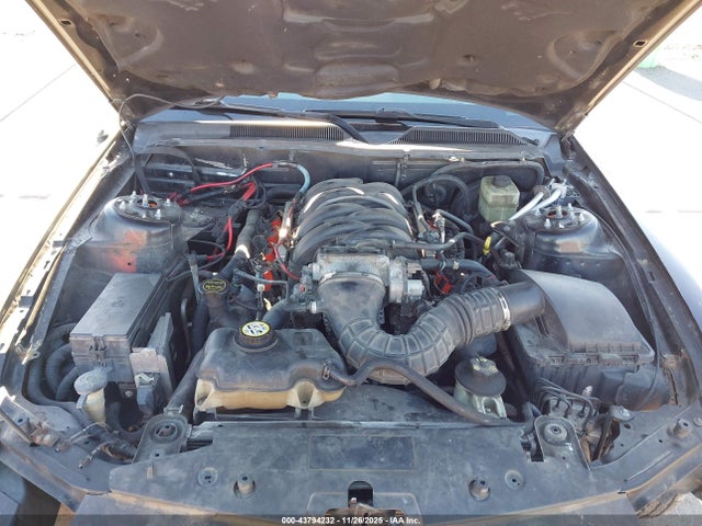 2006 FORD MUSTANG 1ZVFT85H465224444 Photo 9