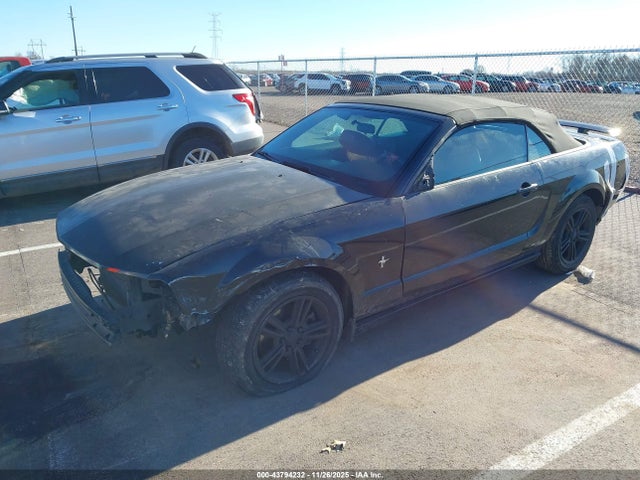 2006 FORD MUSTANG 1ZVFT85H465224444 Photo 1