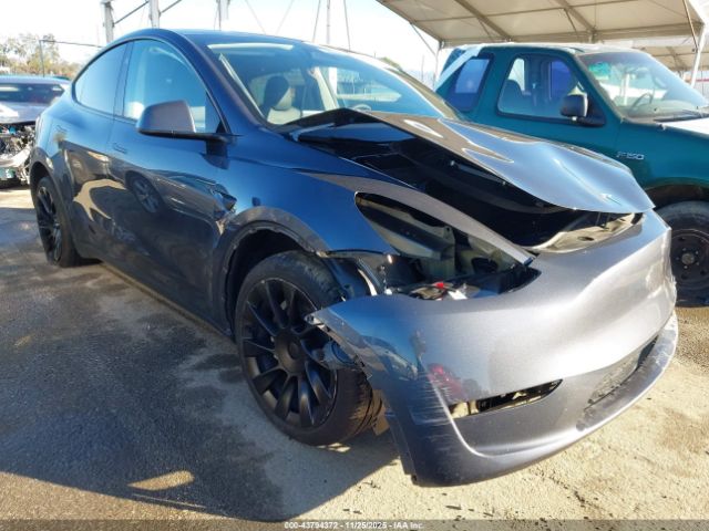 2024 TESLA MODEL Y 7SAYGDEE7RA215514