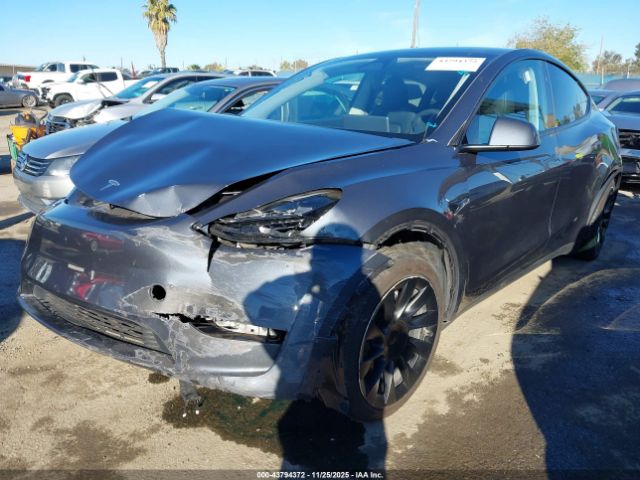 2024 TESLA MODEL Y 7SAYGDEE7RA215514 Photo 1