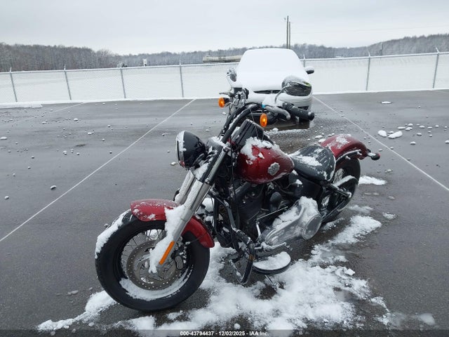 2016 HARLEY-DAVIDSON FLS 1HD1JRV16GB036697 Photo 1