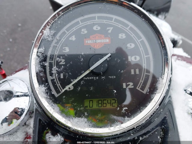 2016 HARLEY-DAVIDSON FLS 1HD1JRV16GB036697 Photo 6