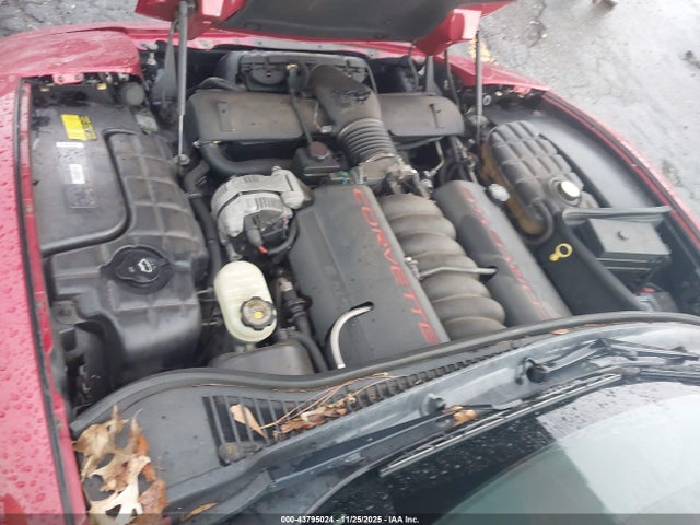 2000 CHEVROLET CORVETTE 1G1YY22G1Y5117949 Photo 9
