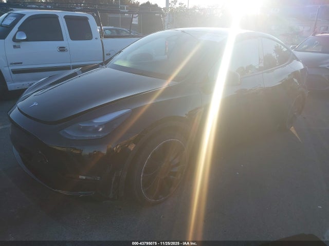 2023 TESLA MODEL Y 7SAYGDEF2PF863626 Photo 1