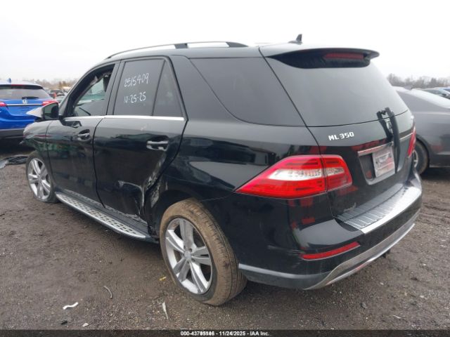 2014 MERCEDES-BENZ ML 350 4JGDA5HB8EA346196 Photo 2