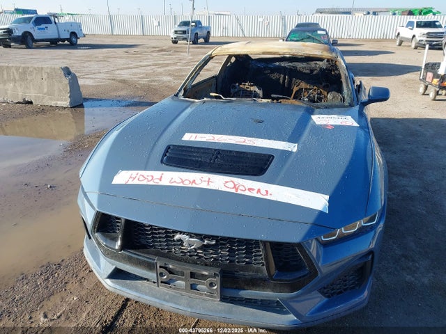 Продаж на аукціоні авто 2024 Ford Mustang Gt Fastback, vin: 1FA6P8CF3R5431278, номер лоту: 43795266