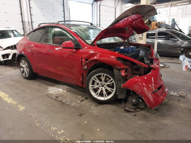 2020 TESLA MODEL Y 5YJYGDEE7LF053326 Photo 0