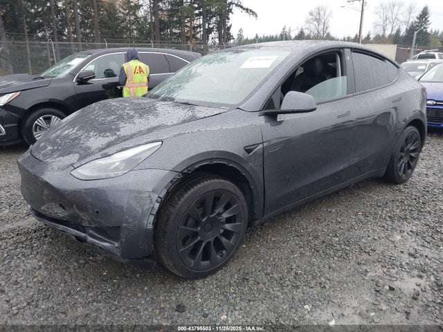 2022 TESLA MODEL Y 7SAYGAEE1NF556192 Photo 1
