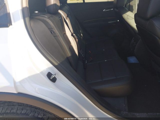 2020 CADILLAC XT4 1GYFZER43LF076651 Photo 7