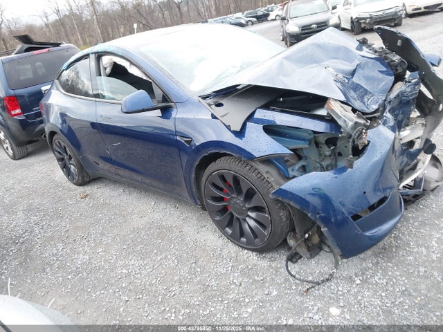2020 TESLA MODEL Y 5YJYGDEF3LF000969 Photo 0