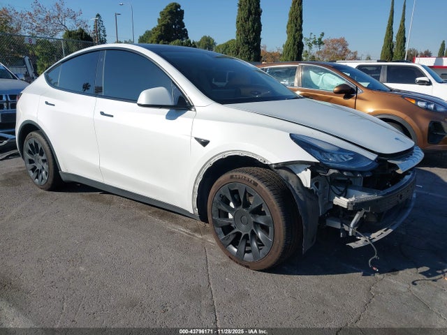 2021 TESLA MODEL Y 5YJYGAEE3MF228235 Photo 0