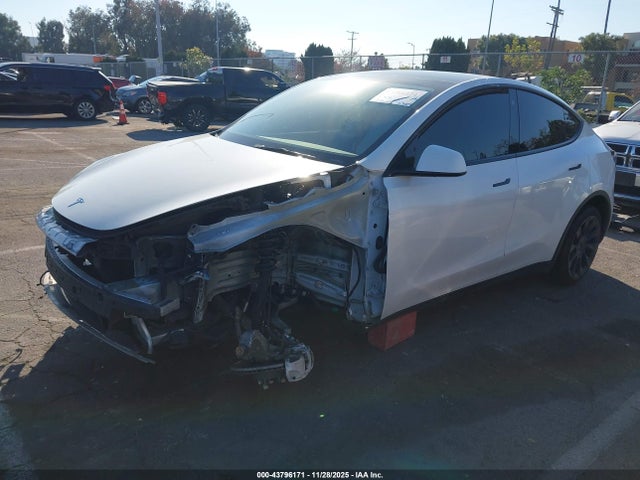 2021 TESLA MODEL Y 5YJYGAEE3MF228235 Photo 1