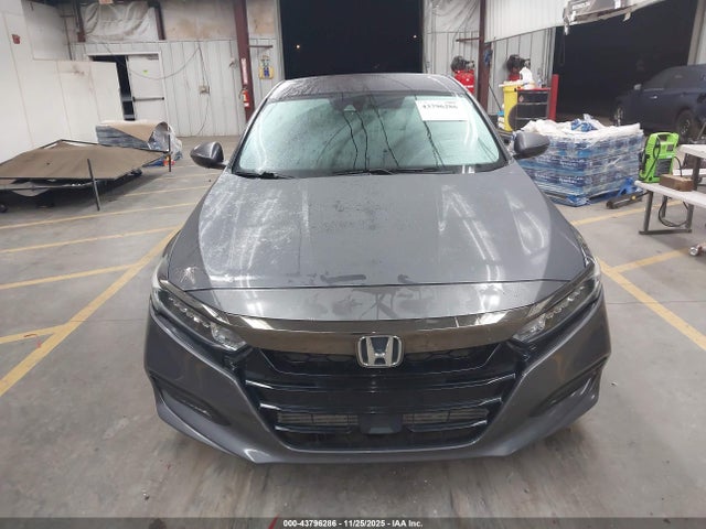 1HGCV1F3XKA113359 Honda Accord