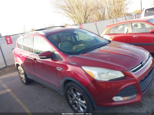 2014 FORD ESCAPE 1FMCU9J93EUC08081