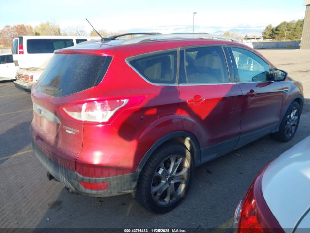 2014 FORD ESCAPE 1FMCU9J93EUC08081 Photo 3