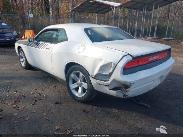 2010 DODGE CHALLENGER 2B3CJ4DV2AH172892 Photo 2