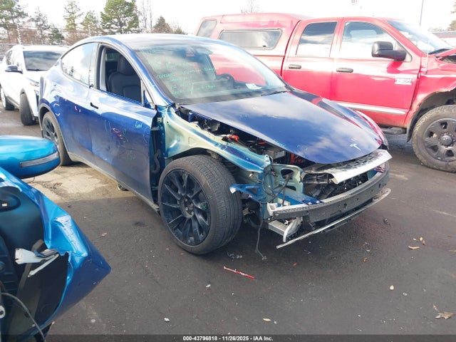 2023 TESLA MODEL Y 7SAYGDEE1PA142167 Photo 0