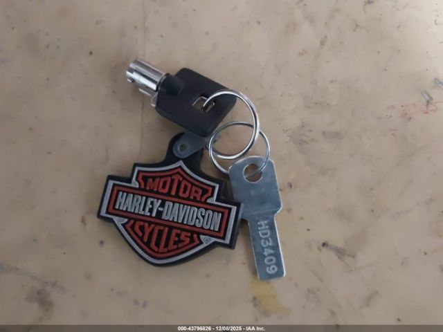 2004 HARLEY-DAVIDSON FLSTF 1HD1BMY314Y026262 Photo 10