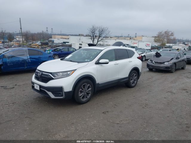 2020 HONDA CR-V 2HKRW2H57LH618778 Photo 1