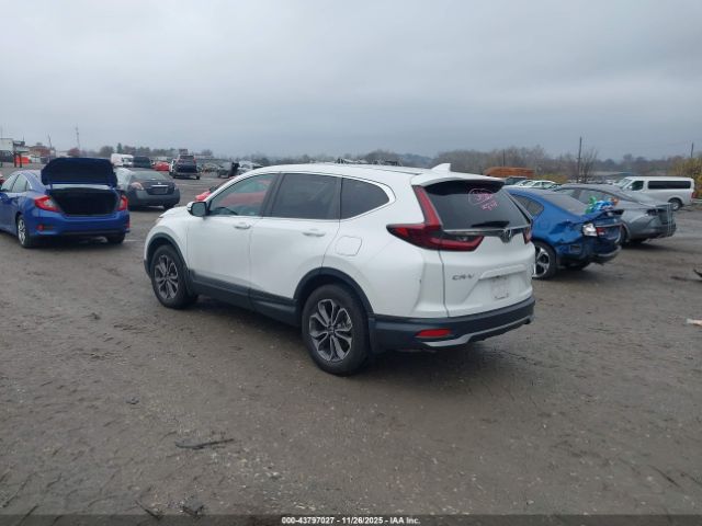 2020 HONDA CR-V 2HKRW2H57LH618778 Photo 2