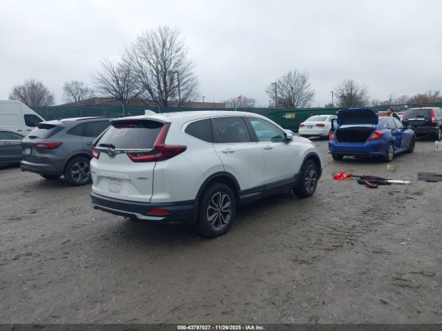 2020 HONDA CR-V 2HKRW2H57LH618778 Photo 3