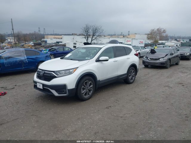2020 HONDA CR-V 2HKRW2H57LH618778 Photo 5