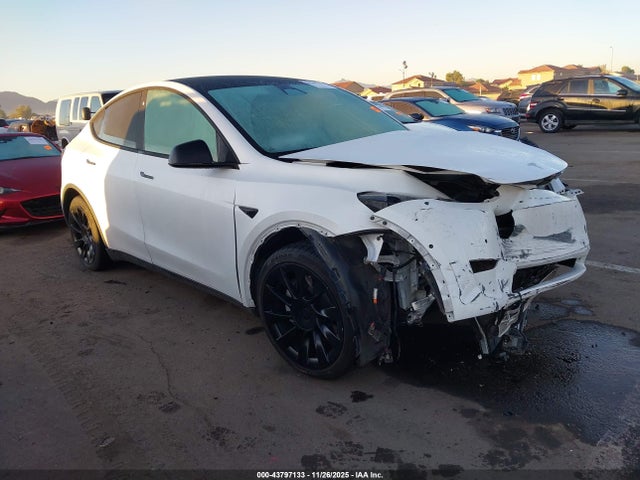 2020 TESLA MODEL Y 5YJYGDEE2LF014630 Photo 0