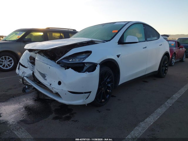 2020 TESLA MODEL Y 5YJYGDEE2LF014630 Photo 1