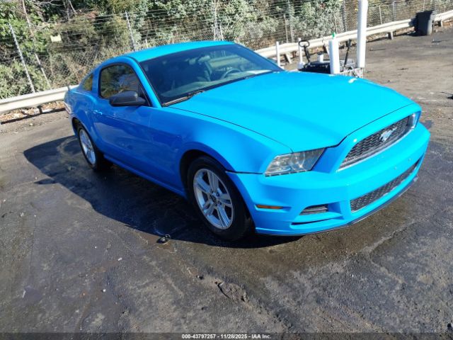2013 FORD MUSTANG 1ZVBP8AM2D5263214