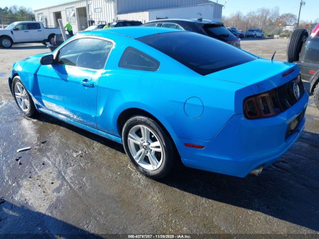 2013 FORD MUSTANG 1ZVBP8AM2D5263214 Photo 2