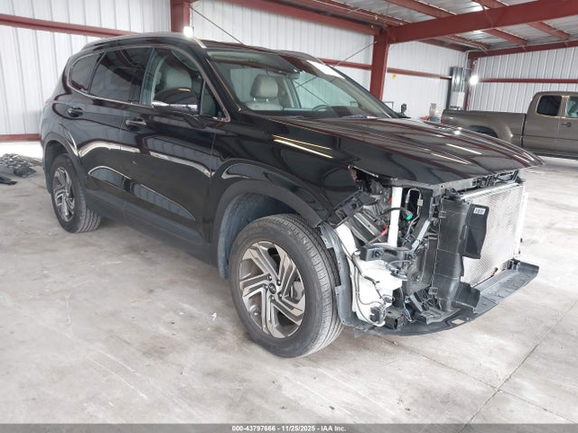 2023 HYUNDAI SANTA FE 5NMS2DAJ4PH544187