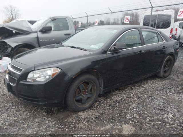 2011 CHEVROLET MALIBU 1G1ZB5E12BF342753 Photo 1