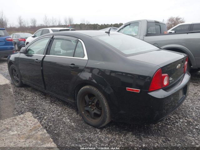 2011 CHEVROLET MALIBU 1G1ZB5E12BF342753 Photo 2