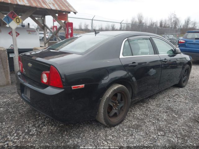 2011 CHEVROLET MALIBU 1G1ZB5E12BF342753 Photo 3