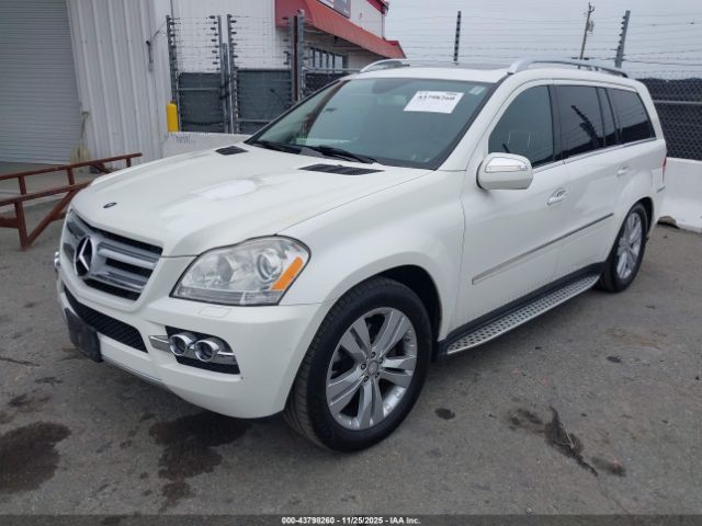 2010 MERCEDES-BENZ GL 450 4JGBF7BE4AA536546 Photo 1