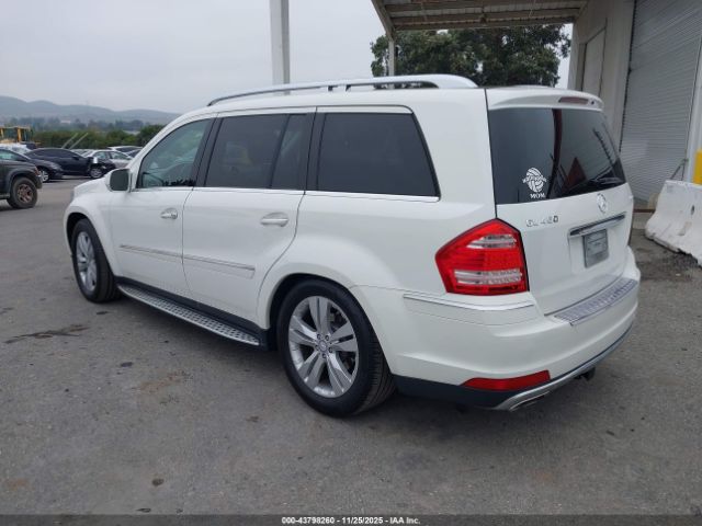 2010 MERCEDES-BENZ GL 450 4JGBF7BE4AA536546 Photo 2