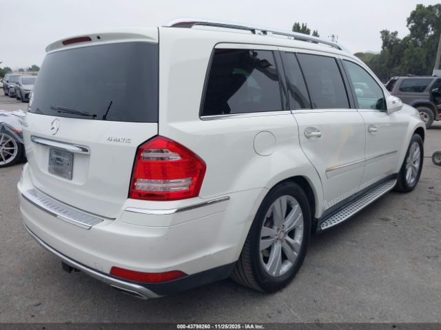 2010 MERCEDES-BENZ GL 450 4JGBF7BE4AA536546 Photo 3