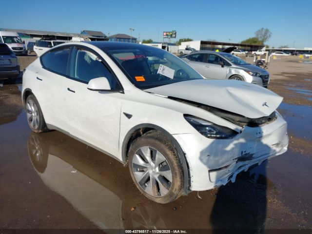 2023 TESLA MODEL Y 7SAYGDED9PF942211
