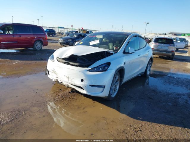 2023 TESLA MODEL Y 7SAYGDED9PF942211 Photo 1