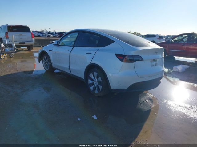 2023 TESLA MODEL Y 7SAYGDED9PF942211 Photo 2