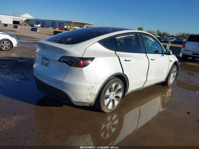2023 TESLA MODEL Y 7SAYGDED9PF942211 Photo 3