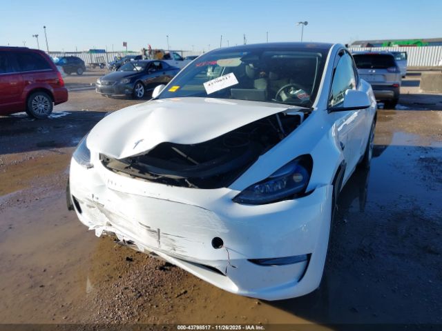 2023 TESLA MODEL Y 7SAYGDED9PF942211 Photo 5