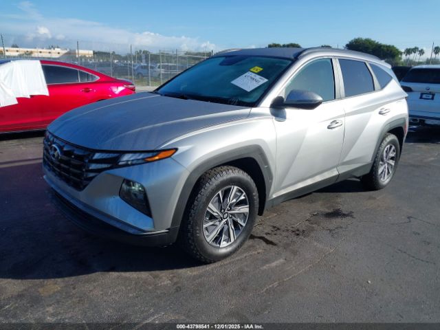 2022 HYUNDAI TUCSON HYBRID KM8JBCA16NU037783 Photo 1