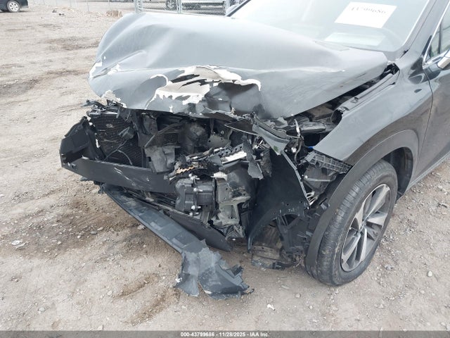 2020 Lexus Nx 300 მანქანა იყიდება აუქციონზე, vin: JTJGARBZ0L5013718, აუქციონის ნომერი: 43799686