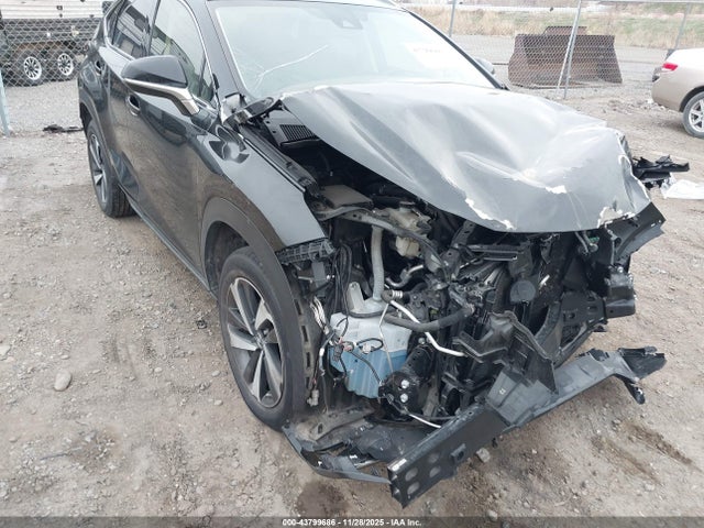 2020 Lexus Nx 300 მანქანა იყიდება აუქციონზე, vin: JTJGARBZ0L5013718, აუქციონის ნომერი: 43799686