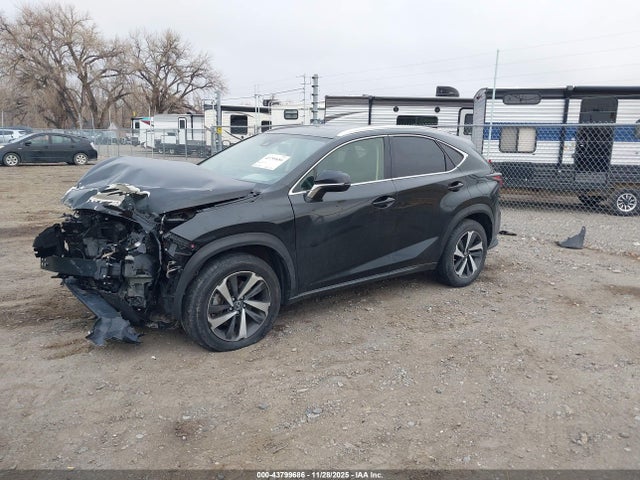 2020 Lexus Nx 300 მანქანა იყიდება აუქციონზე, vin: JTJGARBZ0L5013718, აუქციონის ნომერი: 43799686