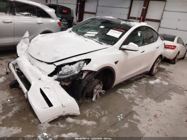 2021 TESLA MODEL Y 5YJYGDEE6MF185947 Photo 1