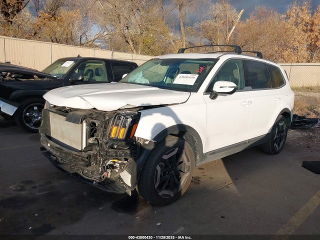 5XYP34GC8RG508513 KIA Telluride Ex
