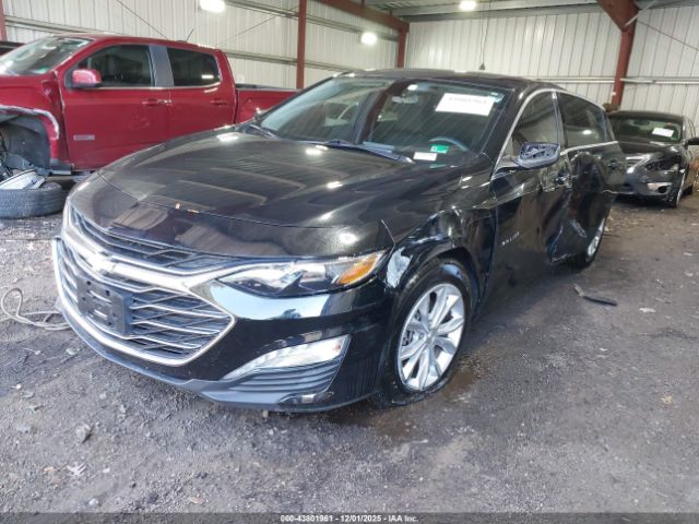 2021 CHEVROLET MALIBU 1G1ZD5ST7MF003828 Photo 1